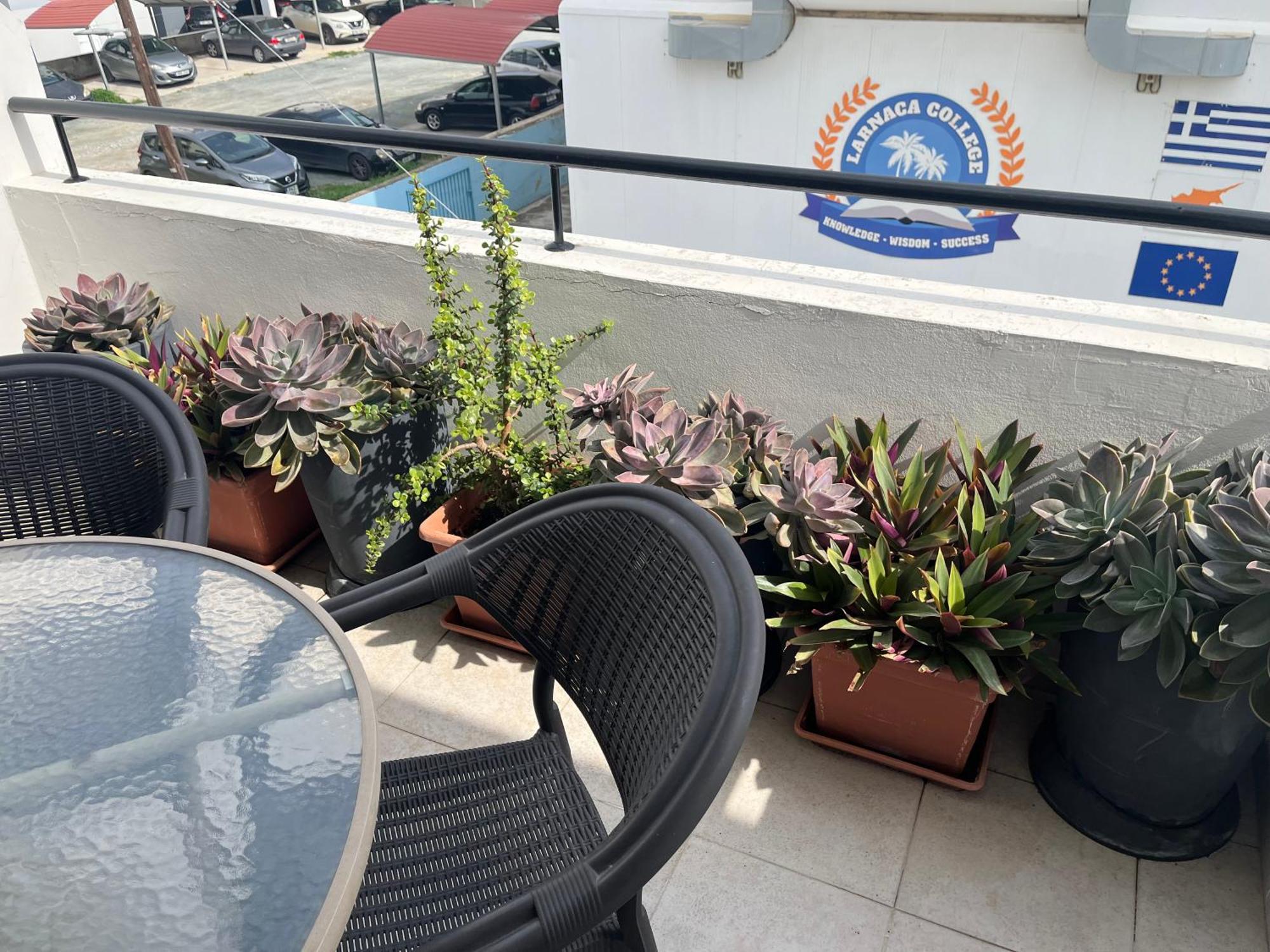 Cyprus-Grecian Sea Apartment ลาร์นาคา ภายนอก รูปภาพ